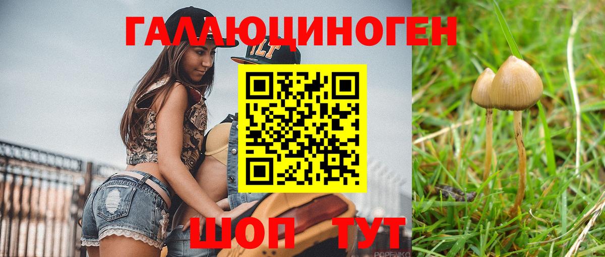 Галлюциногенные грибы ЛСД Майкоп