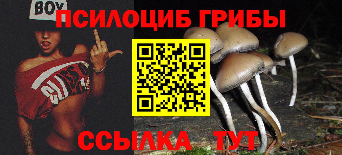 Майкоп  Псилоцибиновые грибы прущие грибы  Вход с VPN 